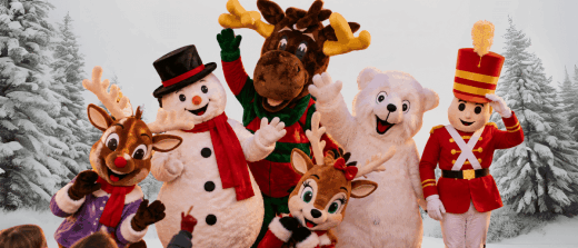 🎄🎅 LES MASCOTTES DE NOËL SONT ARRIVÉES ! 🎅🎄